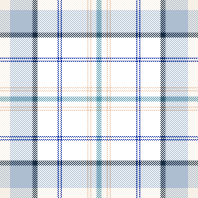 Plaid Pattern #008