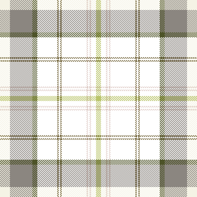 Plaid Pattern #009