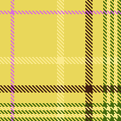 Sally on plaid generator