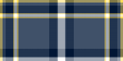 RAFF - NAVY &YELLOW 2