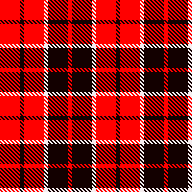 A Red Plaid Shirt 5