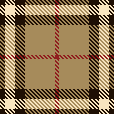 Amber Plaid 2