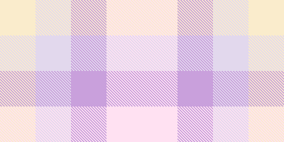 blueberry cheesecake '