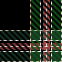 TYLER'S PLAID HOODIE