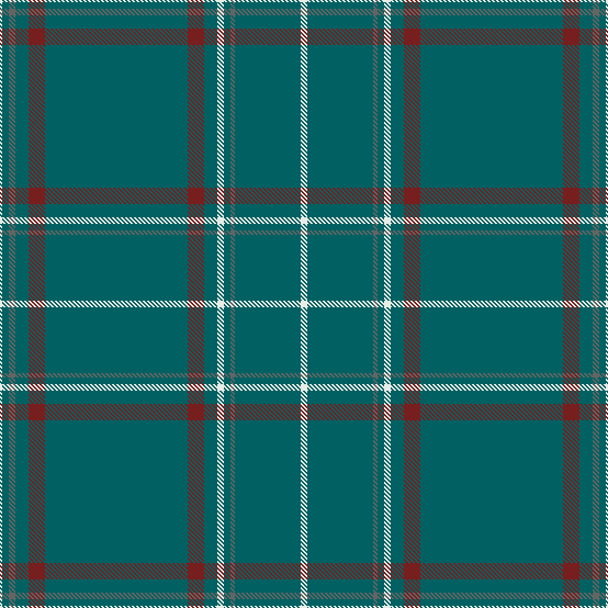 AW22 M TEAL RED FLAN