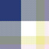 BLUE & LIME POPLIN