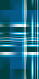 BLUE & TURQUOISE POLPLIN 1