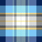LIGHT BLUE & YELLO POPLIN