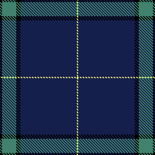 Green/Navy/Yellow