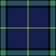 Navy/Green w/Yellow Stripe