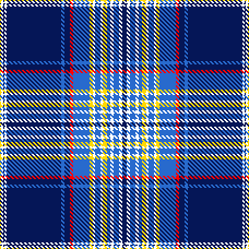Team Sweden and USA plaid