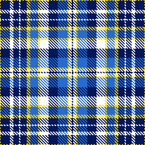 Team Sweden 2 Plaid