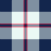 Blue Boy Plaid