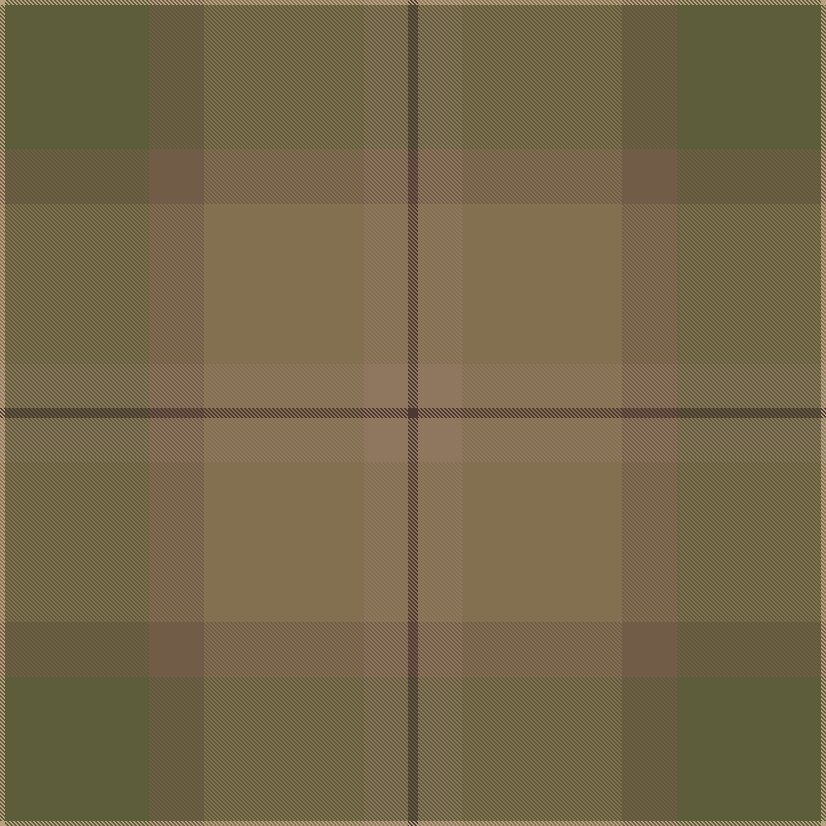 multiplaid
