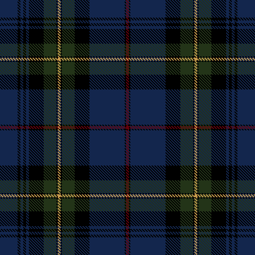 NavyWinterTartan