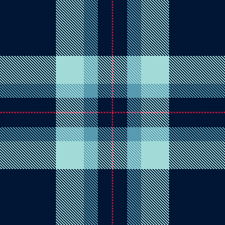 Plaid 2