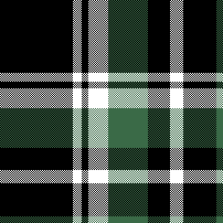 cotfil medium check #01