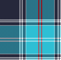 cotfil medium check #02