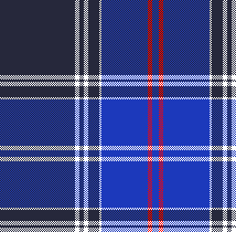 cotfil medium check #02