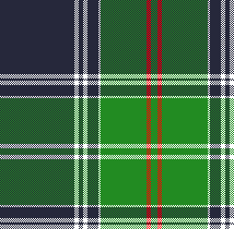 cotfil medium check #02