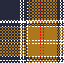 cotfil medium check #02