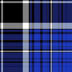 cotfil medium check #03