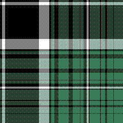 cotfil medium check #03