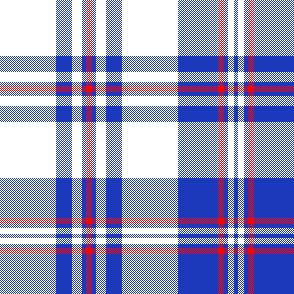 cotfil medium check #04