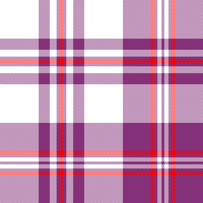 cotfil medium check #04