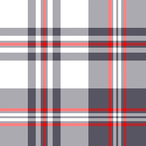 cotfil medium check #04