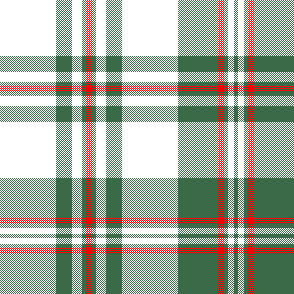 cotfil medium check #04