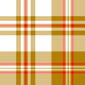 cotfil medium check #04