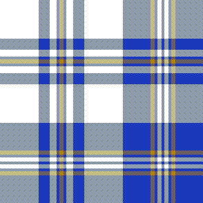 cotfil medium check #04