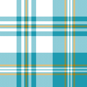 cotfil medium check #04