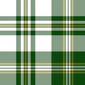 cotfil medium check #04