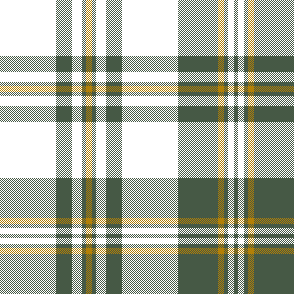 cotfil medium check #04