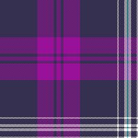 cotfil medium check #05