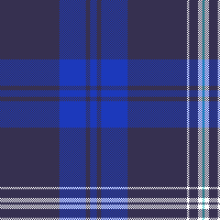 cotfil medium check #05