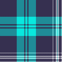 cotfil medium check #05