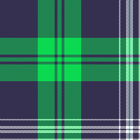 cotfil medium check #05