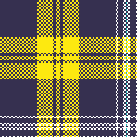 cotfil medium check #05