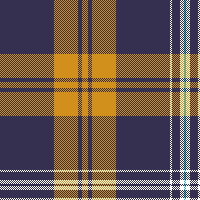 cotfil medium check #05