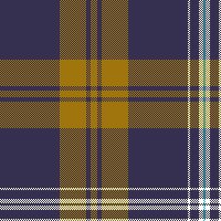 cotfil medium check #05