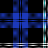 cotfil medium check #05