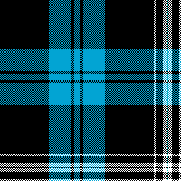 cotfil medium check #05