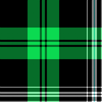 cotfil medium check #05