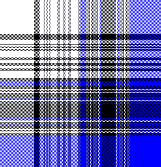 cotfil medium check #06