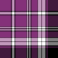 cotfil medium check #09