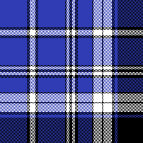 cotfil medium check #09