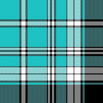 cotfil medium check #09